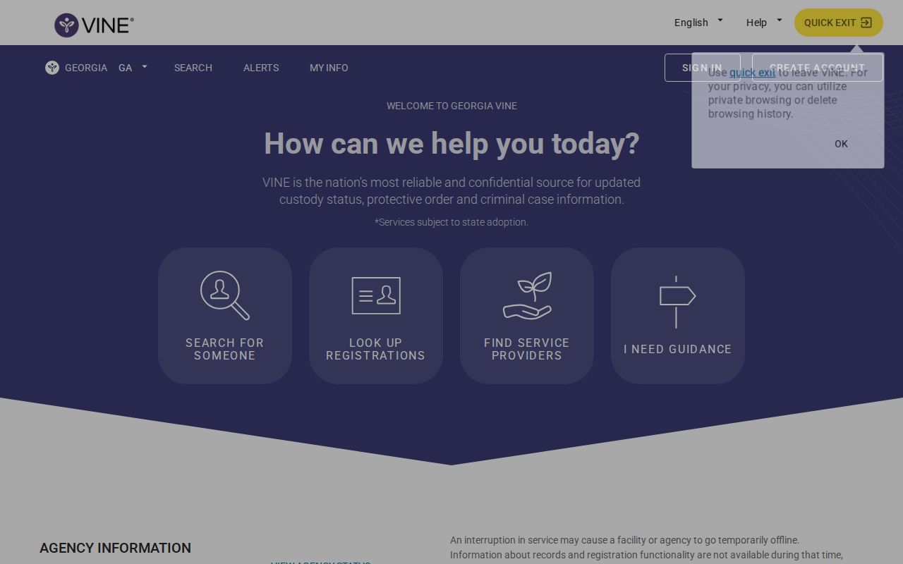 Georgia VINELink custody status and notification service